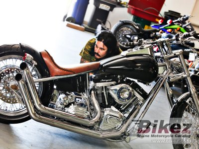 2010 Intrepid Snub Nose photo